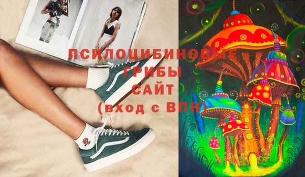 ГАЛЛЮЦИНОГЕННЫЕ ГРИБЫ Балахна