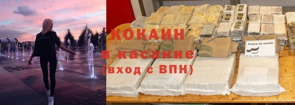 твердый Богданович