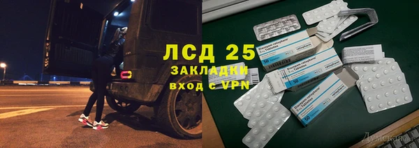 твердый Богданович