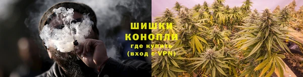 таблы Богородицк