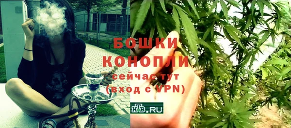 твердый Богданович