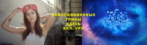 твердый Богданович
