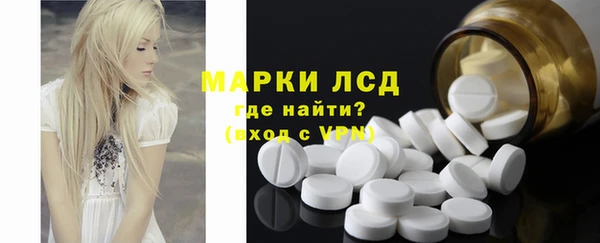 твердый Богданович