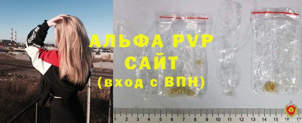 твердый Богданович