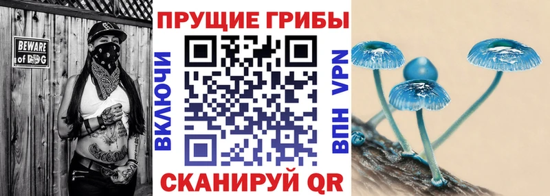 Купить  Навашино  Псилоцибиновые грибы прущие грибы 