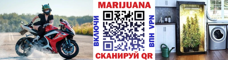 Купить закладки  Навашино  Канабис MAZAR 